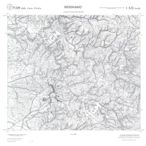 CALABRIA FOGLIO 229 I SO SEZ B BISIGNANO