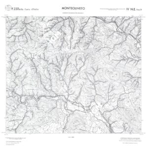 CALABRIA  FOGLIO 237 IV NE SEZ D MONTEOLIVETO