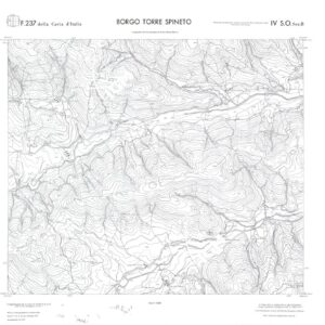 CALABRIA  FOGLIO 237 IV SO SEZ B BORGO TORRE SPINETO