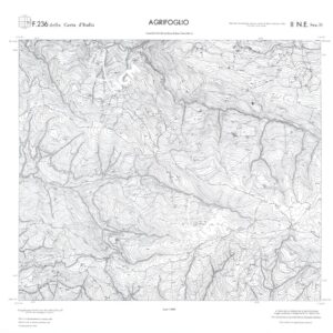 CALABRIA  FOGLIO 236 II NE SEZ D AGRIFOGLIO