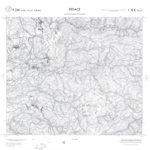 CALABRIA FOGLIO 236 I NE SEZ C PEDACE