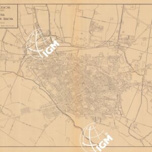 PLANIMETRIA DEL CENTRO ABITATO DI CREMONA