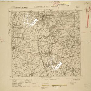 025 III-NO (S. DANIELE DEL FRIULI) Anno: 1910