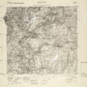 031 II-NE (MALNATE) Anno: 1919