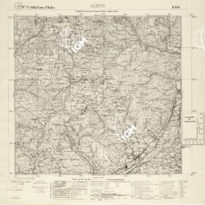 033 II-NO (ALBINO) Anno: 1931