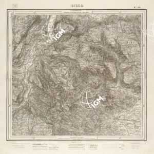 036 (SCHIO) Anno: 1891