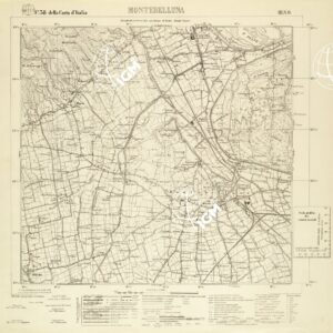 038 III-NO (MONTEBELLUNA) Anno: 1932