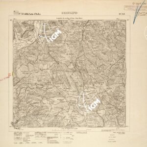 038 IV-NO (SEGUSINO) Anno: 1917