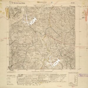 038 IV-NO (SEGUSINO) Anno: 1924