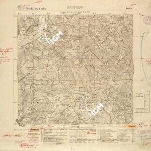 038 IV-NO (SEGUSINO) Anno: 1932