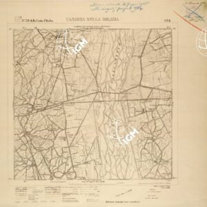 039 I-NE (CASARSA DELLA DELIZIA) Anno: 1910