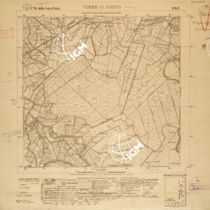 039 II-SO (TORRE DI MOSTO) Anno: 1924