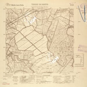 039 II-SO (TORRE DI MOSTO) Anno: 1932