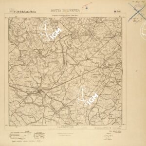 039 III-NE (MOTTA DI LIVENZA) Anno: 1906