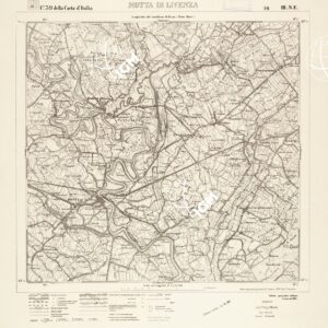 039 III-NE (MOTTA DI LIVENZA) Anno: 1910