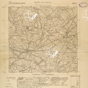 039 III-NE (MOTTA DI LIVENZA) Anno: 1924