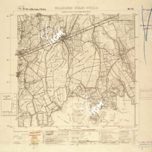 040 III-NE (PALAZZOLO DELLO STELLA) Anno: 1932