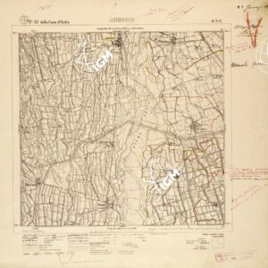 043 II-NE (ARBORIO) Anno: 1914