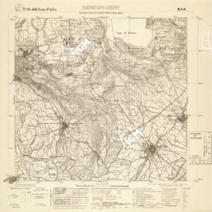 043 III-SO (BORGOMASINO) Anno: 1931