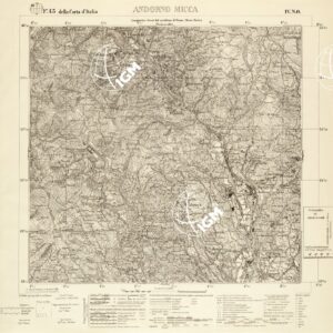 043 IV-NO (ANDORNO MICCA) Anno: 1931