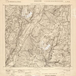 048 I-NE (BREONIO) Anno: 1917