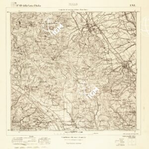 049 I-NE (MALO) Anno: 1895