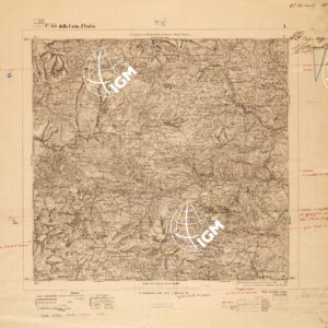 055 I (VIU') Anno: 1919