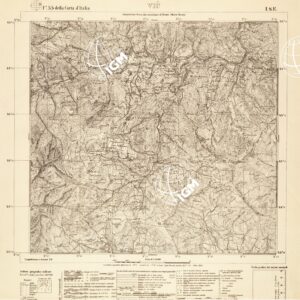 055 I-SE (VIU') Anno: 1925