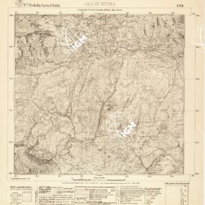 055 I-NO (ALA DI STURA) Anno: 1925