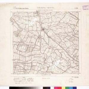 063 I-NE (COLOGNA VENETA) Anno: 1888