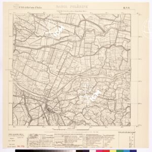 064 III-NO (BADIA POLESINE) Anno: 1924