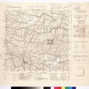 064 III-NO (BADIA POLESINE) Anno: 1935