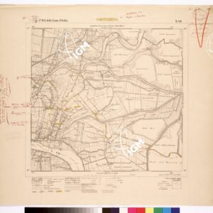 065 II-SO (CONTARINA) Anno: 1923