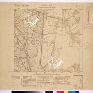 065 IV-NE (CODEVIGO) Anno: 1925