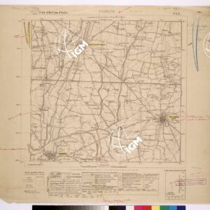 068 I-NE (POIRINO) Anno: 1924