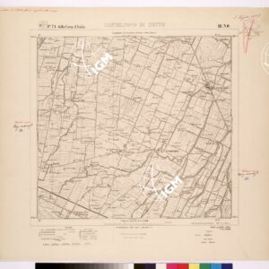 074 III-NO (CASTELNOVO DI SOTTO) Anno: 1907