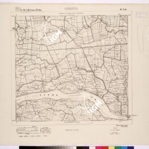 076 IV-NO (STIENTA) Anno: 1893