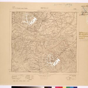 079 I-NE (REVELLO) Anno: 1919