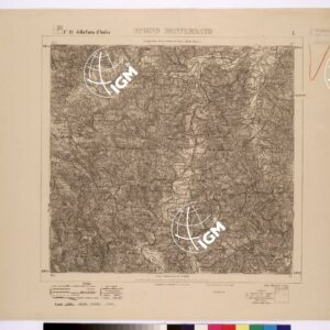 081 I (SPIGNO MONFERRATO) Anno: 1879