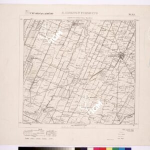 087 IV-NE (S. GIOVANNI IN PERSICETO) Anno: 1884