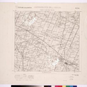 087 IV-NO (CASTELFRANCO DELL'EMILIA) Anno: 1884