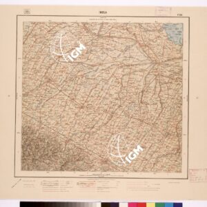 088 (IMOLA) Anno: 1913