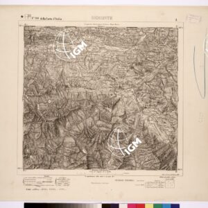 090 I (DEMONTE) Anno: 1895