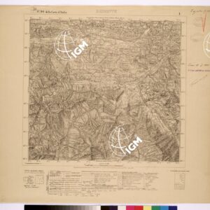 090 I (DEMONTE) Anno: 1924