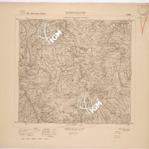 091 I-NE (PAMPARATO) Anno: 1902