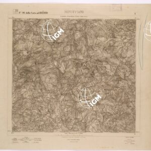 096 I (MINUCCIANO) Anno: 1878