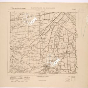 100 II-NE (SAVIGNANO DI ROMAGNA) Anno: 1894