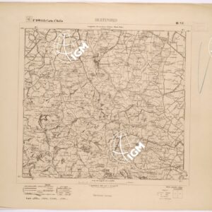 100 III-NE (BERTINORO) Anno: 1894