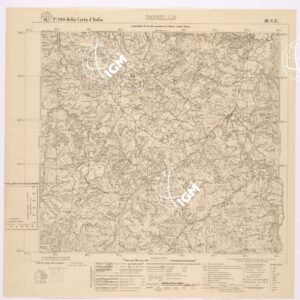 100 III-SE (BORELLO) Anno: 1929