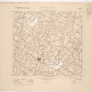 100 IV-SE (FORLIMPOPOLI) Anno: 1907